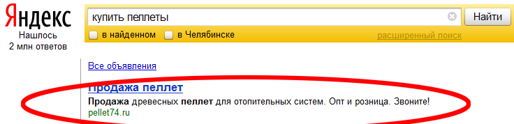 Вот как выглядит Директ в поиске Яндекса